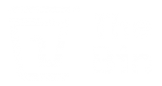 The Bin